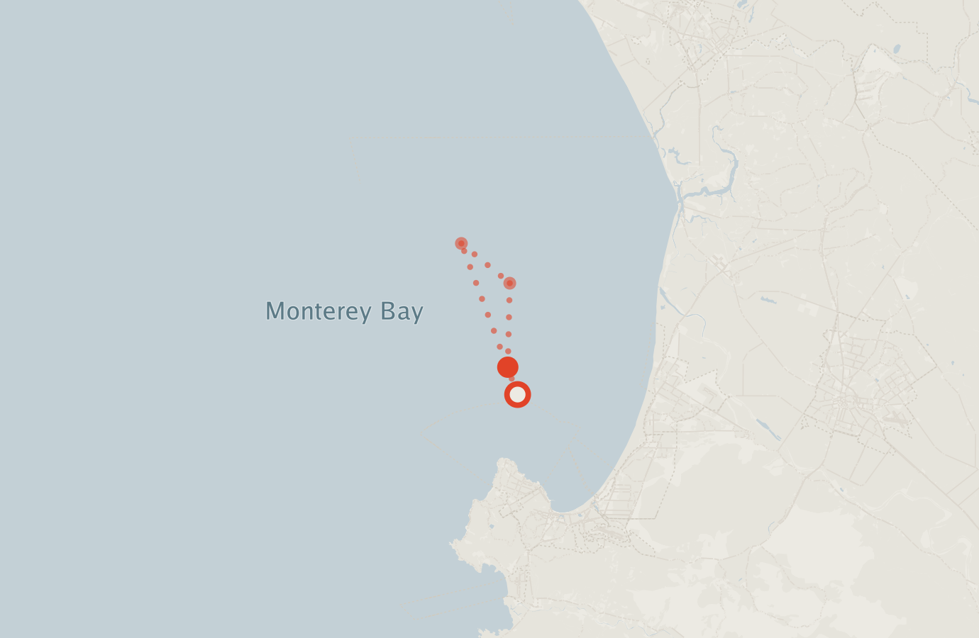 Activity map — real sighting points on an OpenStreetMap basemap