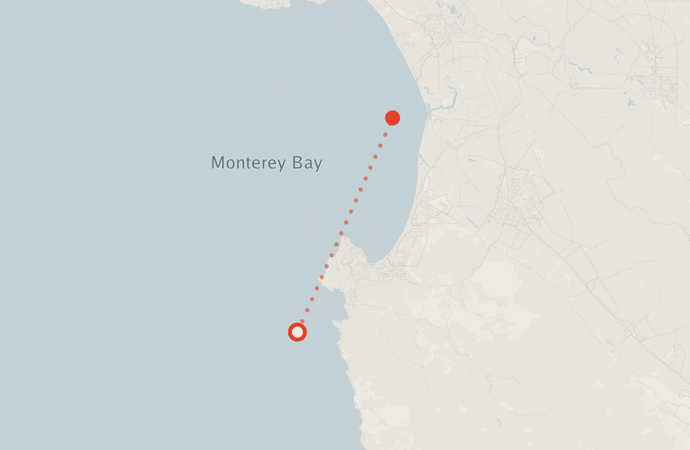 Activity map — real sighting points on an OpenStreetMap basemap