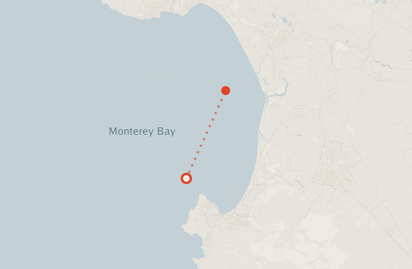 Activity map — real sighting points on an OpenStreetMap basemap
