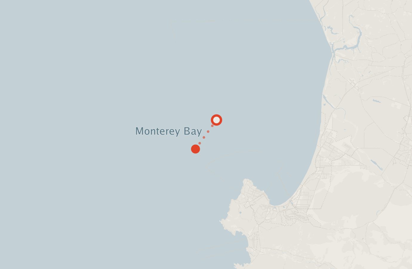 Activity map — real sighting points on an OpenStreetMap basemap