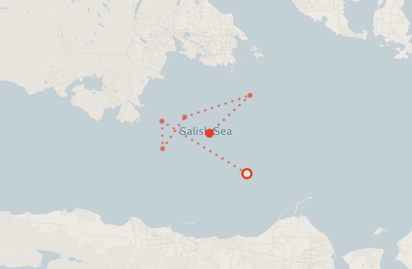 Activity map — real sighting points on an OpenStreetMap basemap