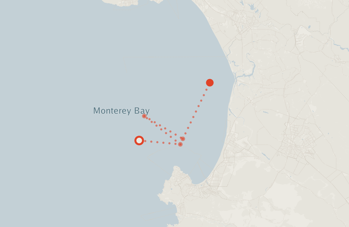 Activity map — real sighting points on an OpenStreetMap basemap