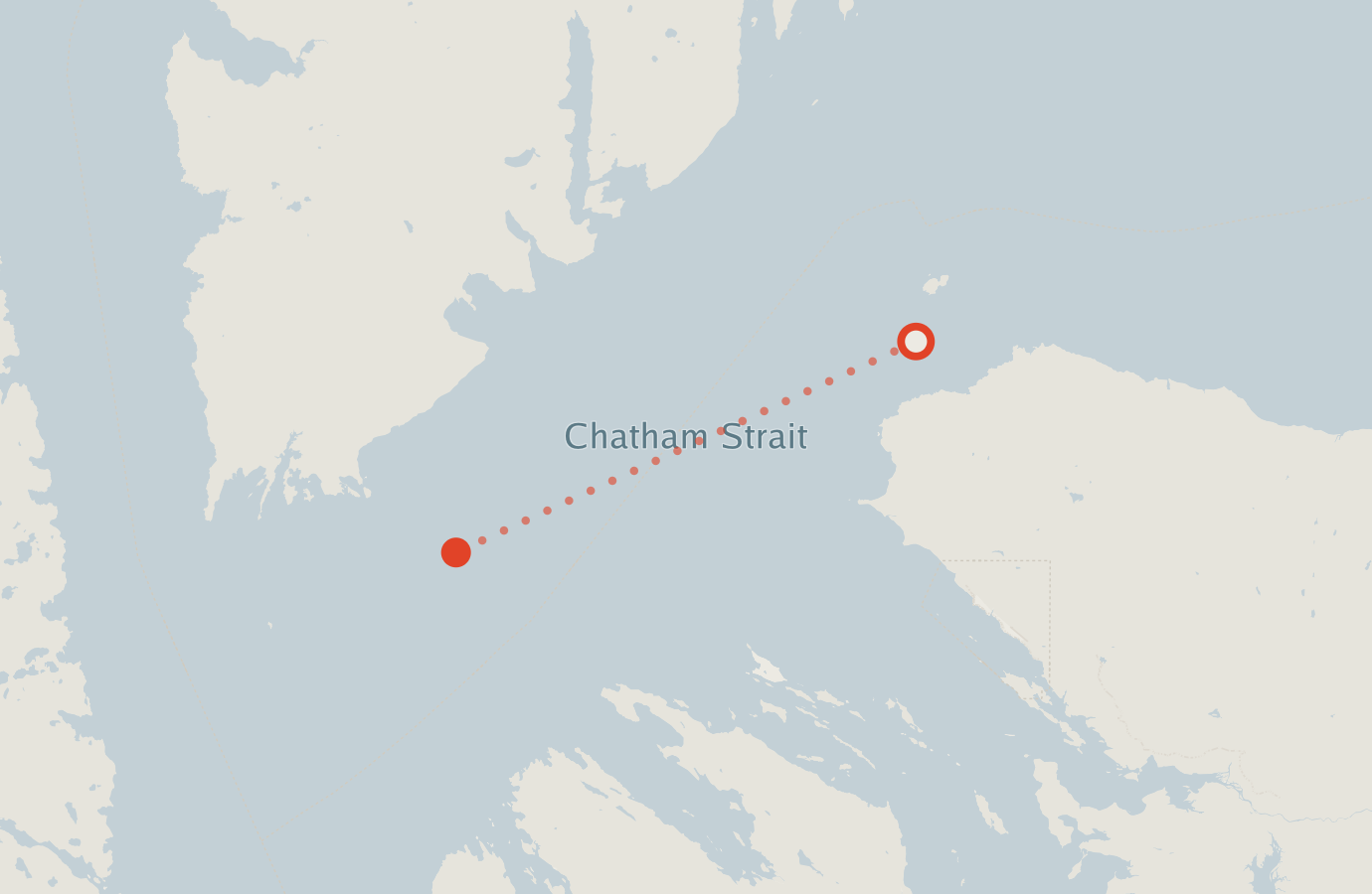 Activity map — real sighting points on an OpenStreetMap basemap