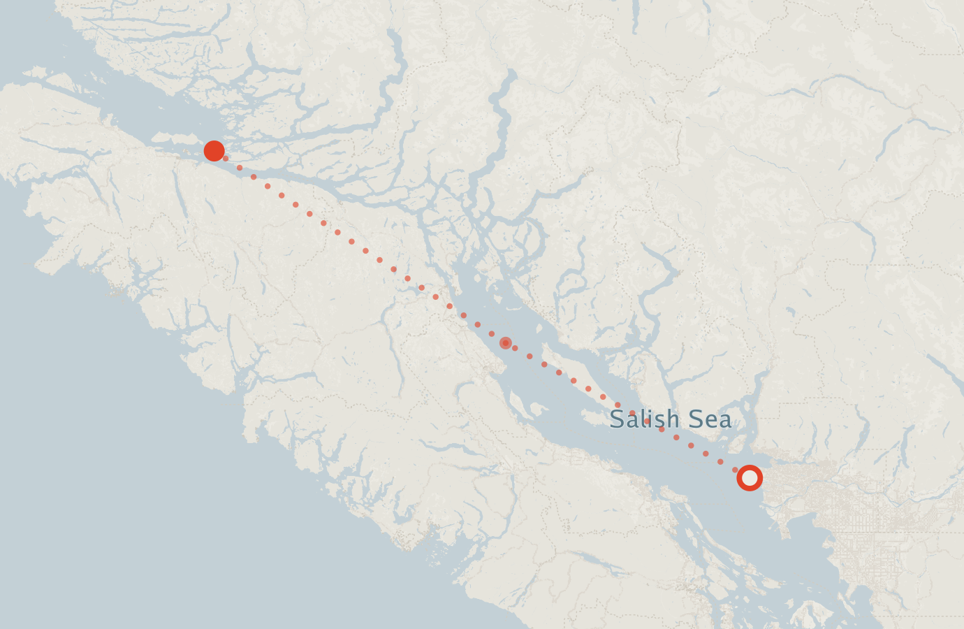 Activity map — real sighting points on an OpenStreetMap basemap