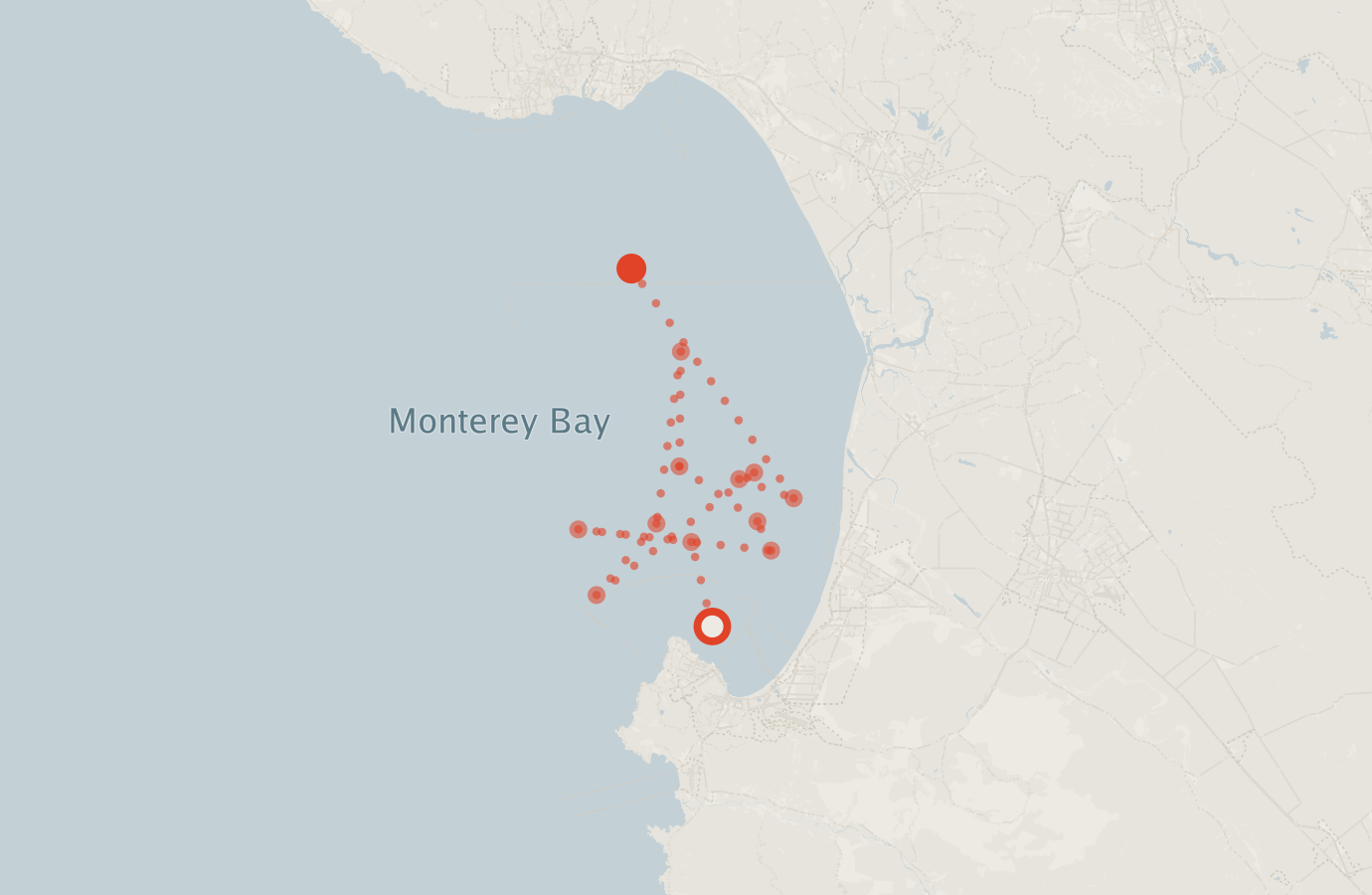 Activity map — real sighting points on an OpenStreetMap basemap