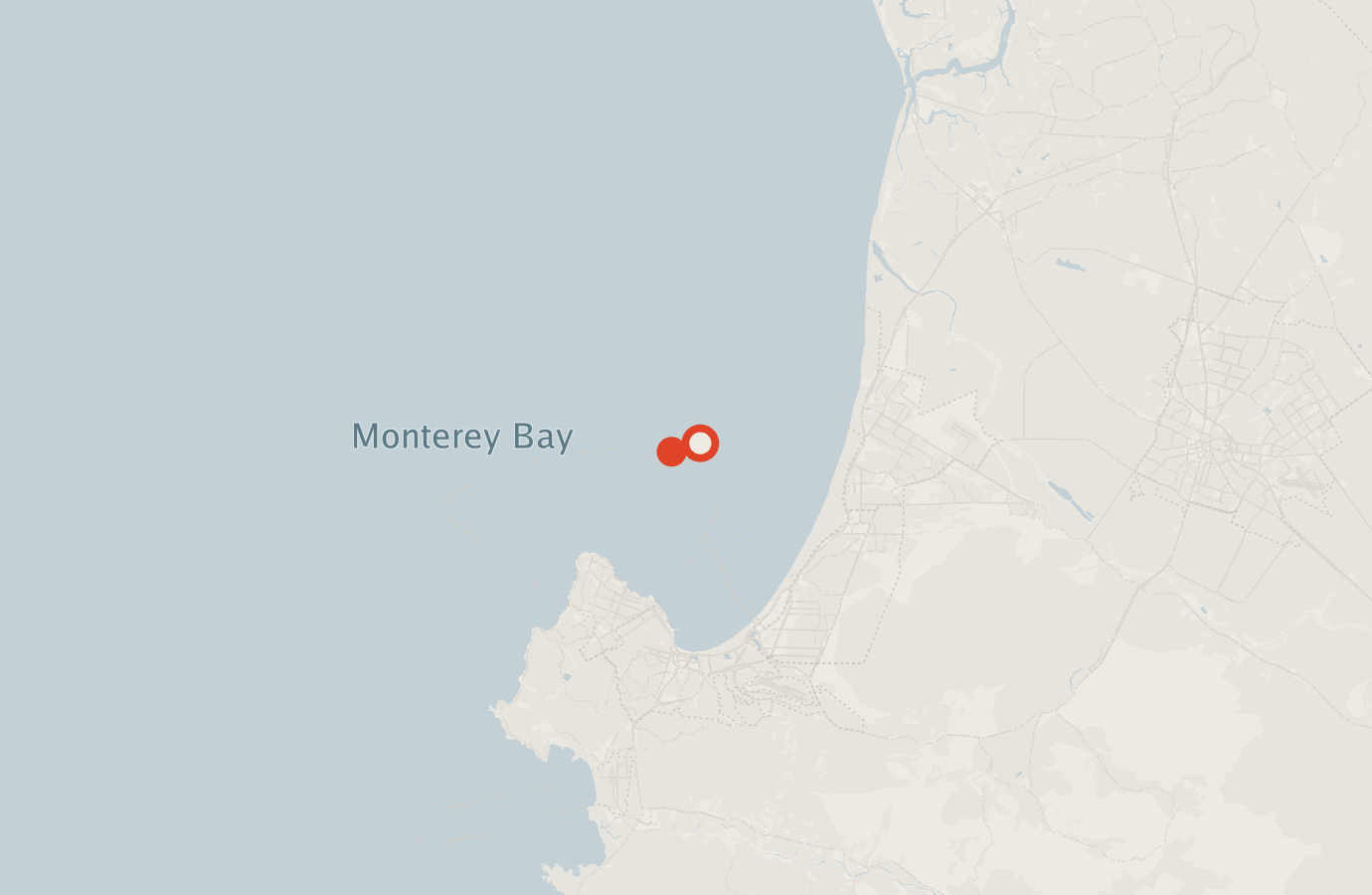 Activity map — real sighting points on an OpenStreetMap basemap