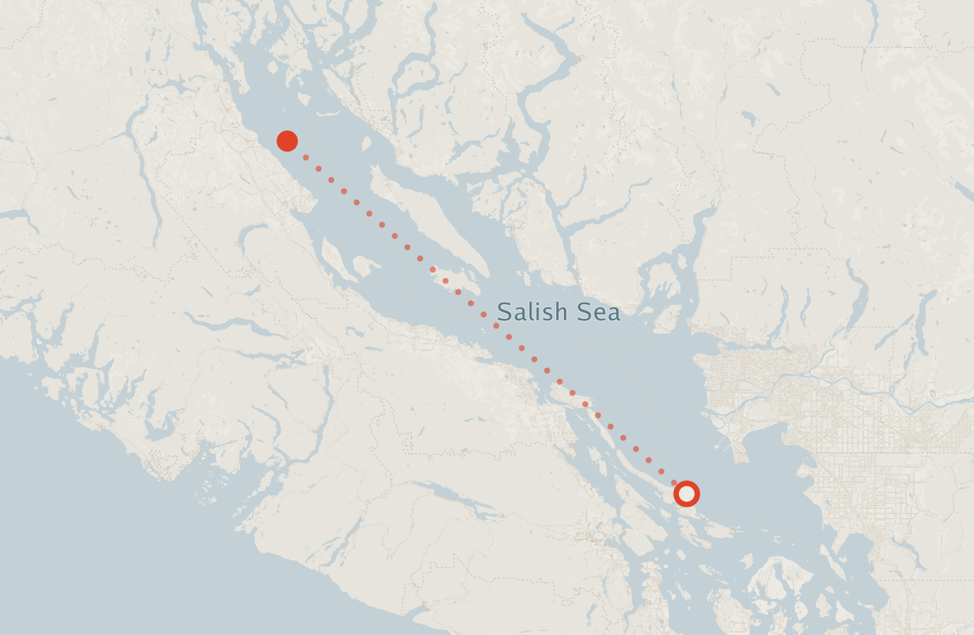 Activity map — real sighting points on an OpenStreetMap basemap