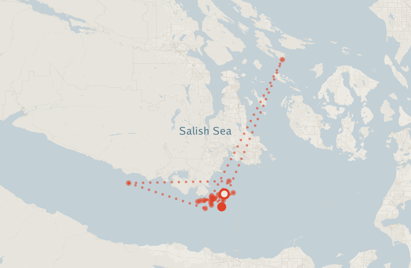 Activity map — real sighting points on an OpenStreetMap basemap