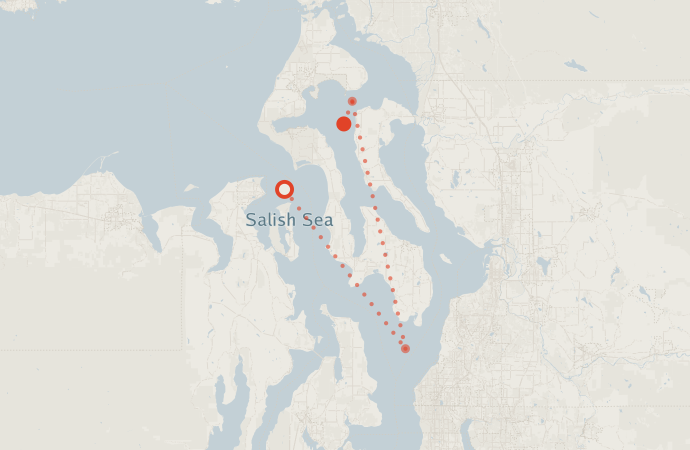 Activity map — real sighting points on an OpenStreetMap basemap