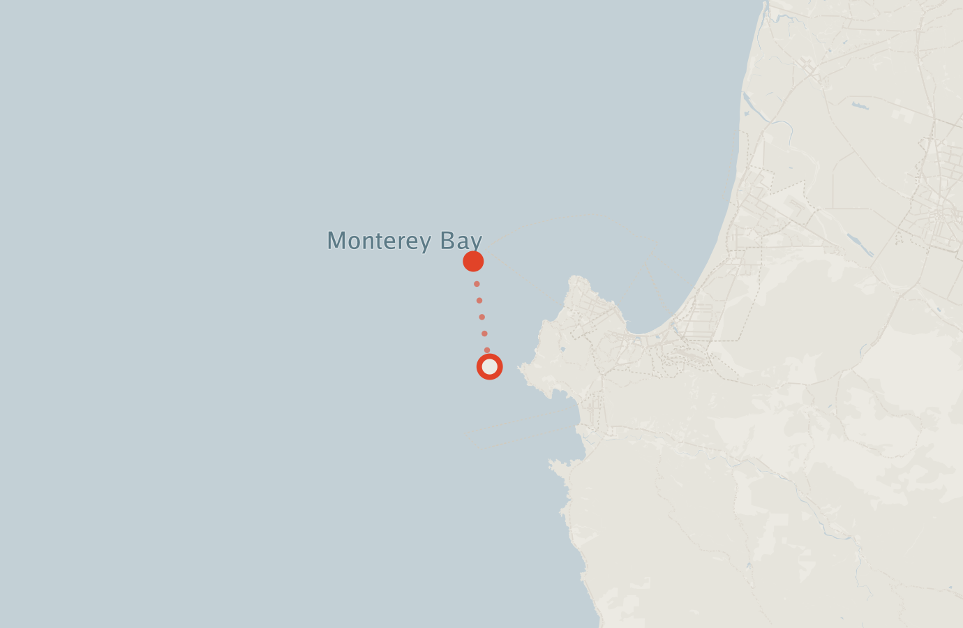 Activity map — real sighting points on an OpenStreetMap basemap
