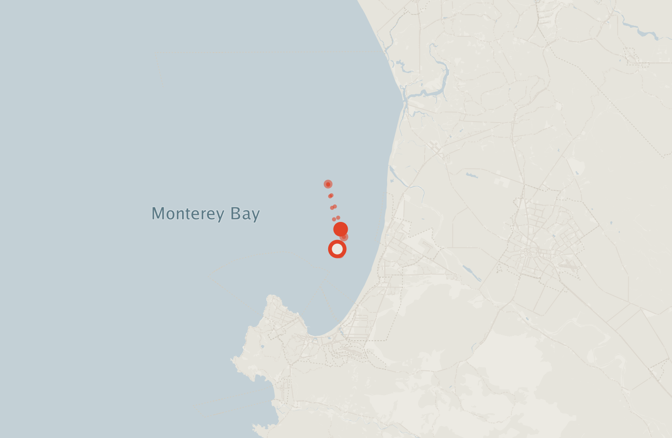 Activity map — real sighting points on an OpenStreetMap basemap