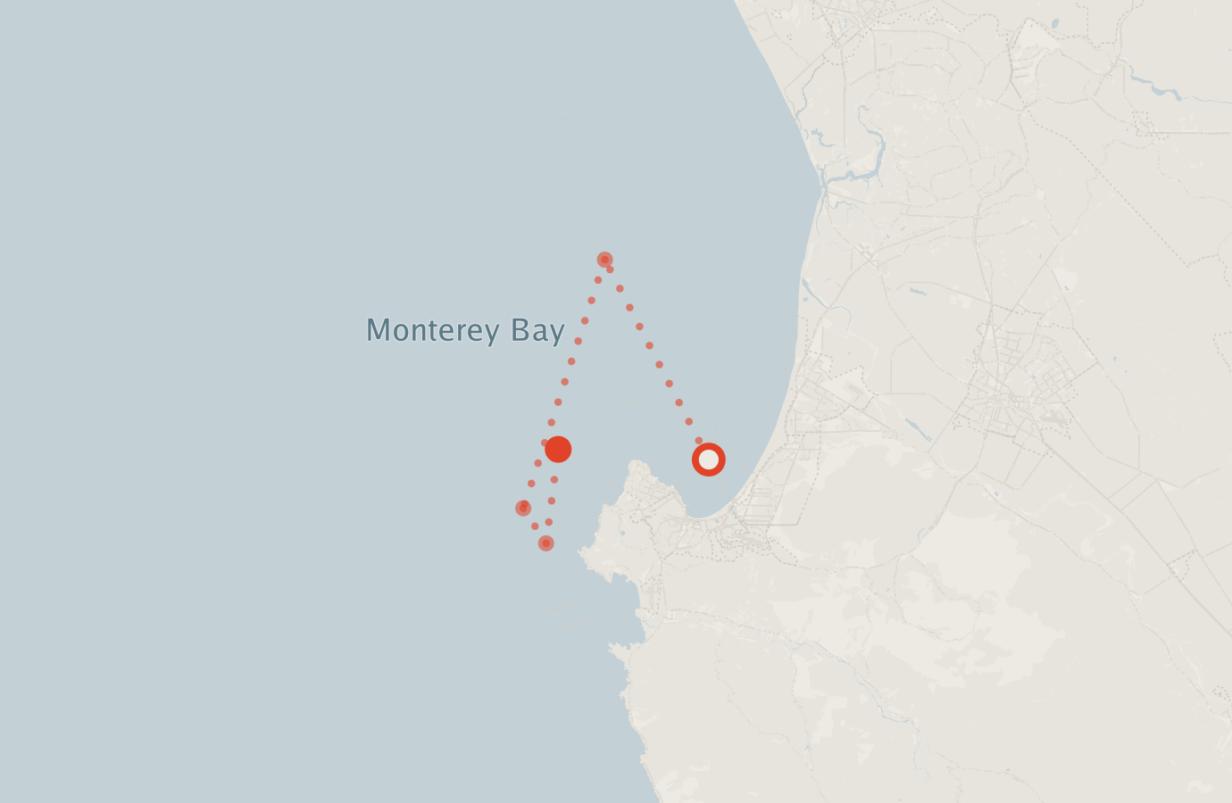 Activity map — real sighting points on an OpenStreetMap basemap