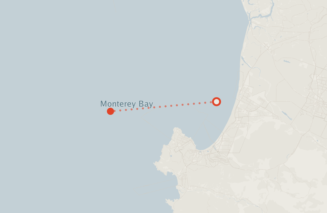 Activity map — real sighting points on an OpenStreetMap basemap