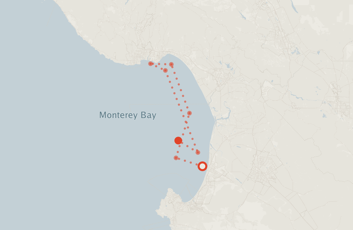 Activity map — real sighting points on an OpenStreetMap basemap