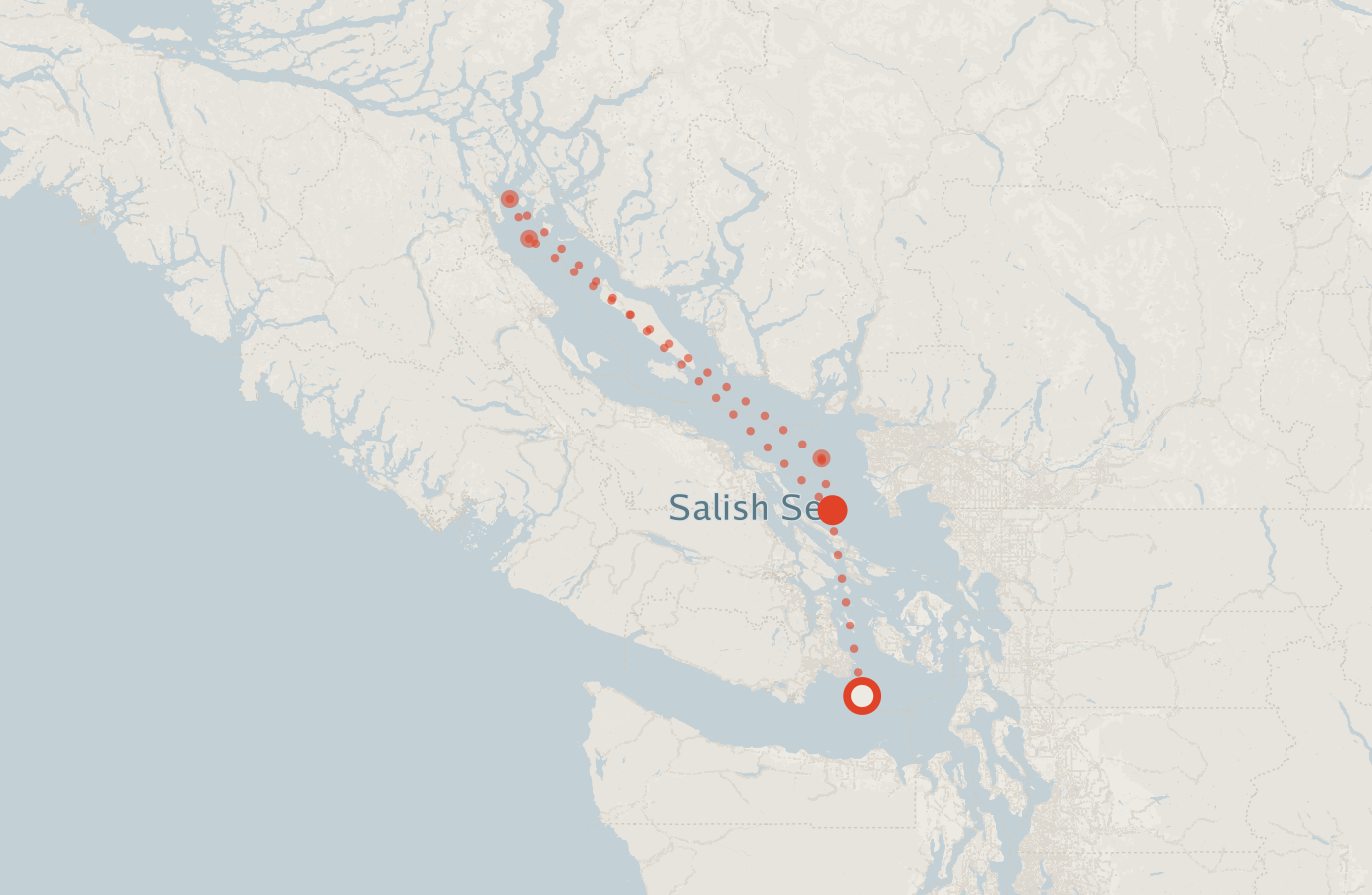 Activity map — real sighting points on an OpenStreetMap basemap