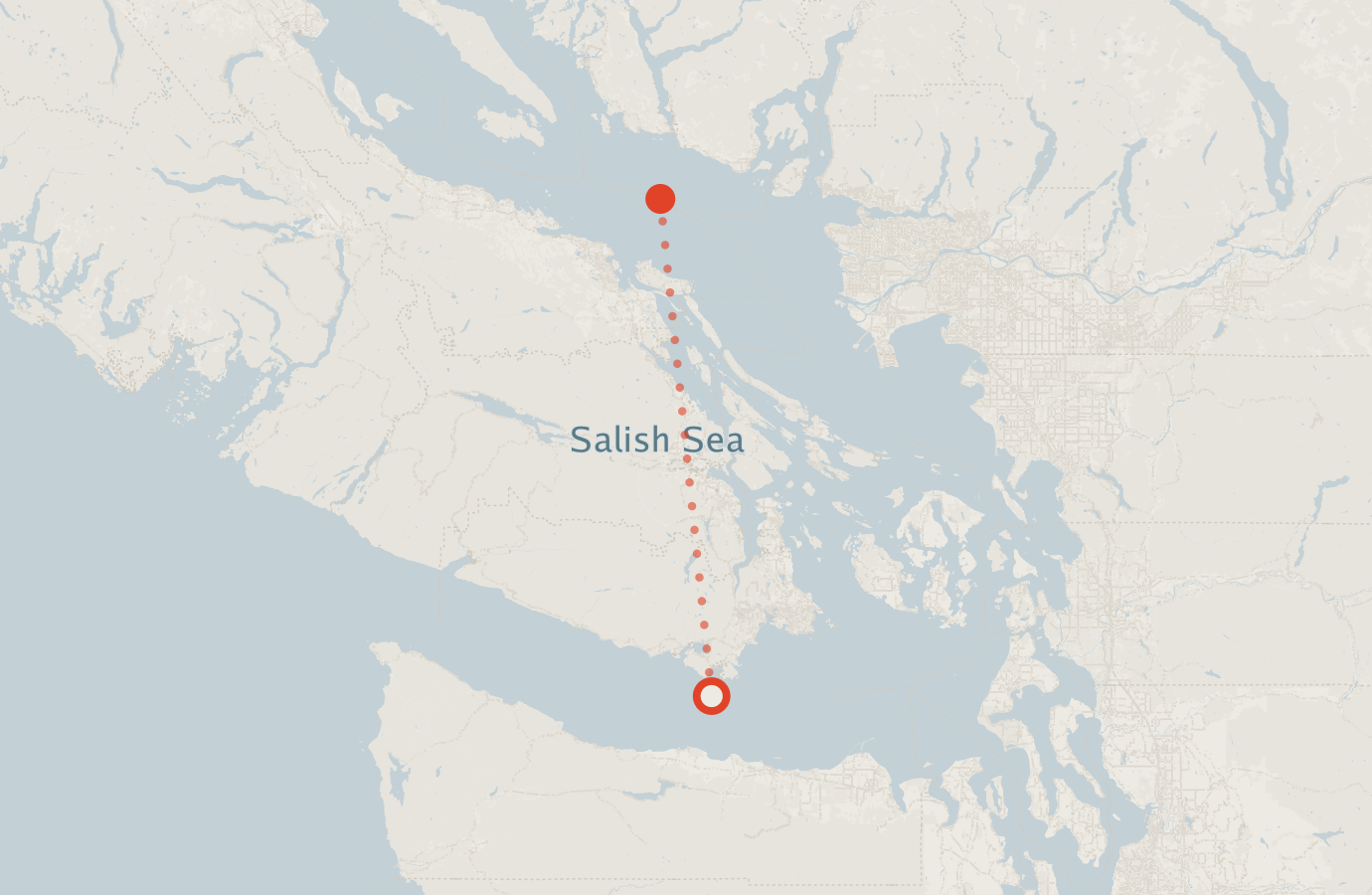 Activity map — real sighting points on an OpenStreetMap basemap