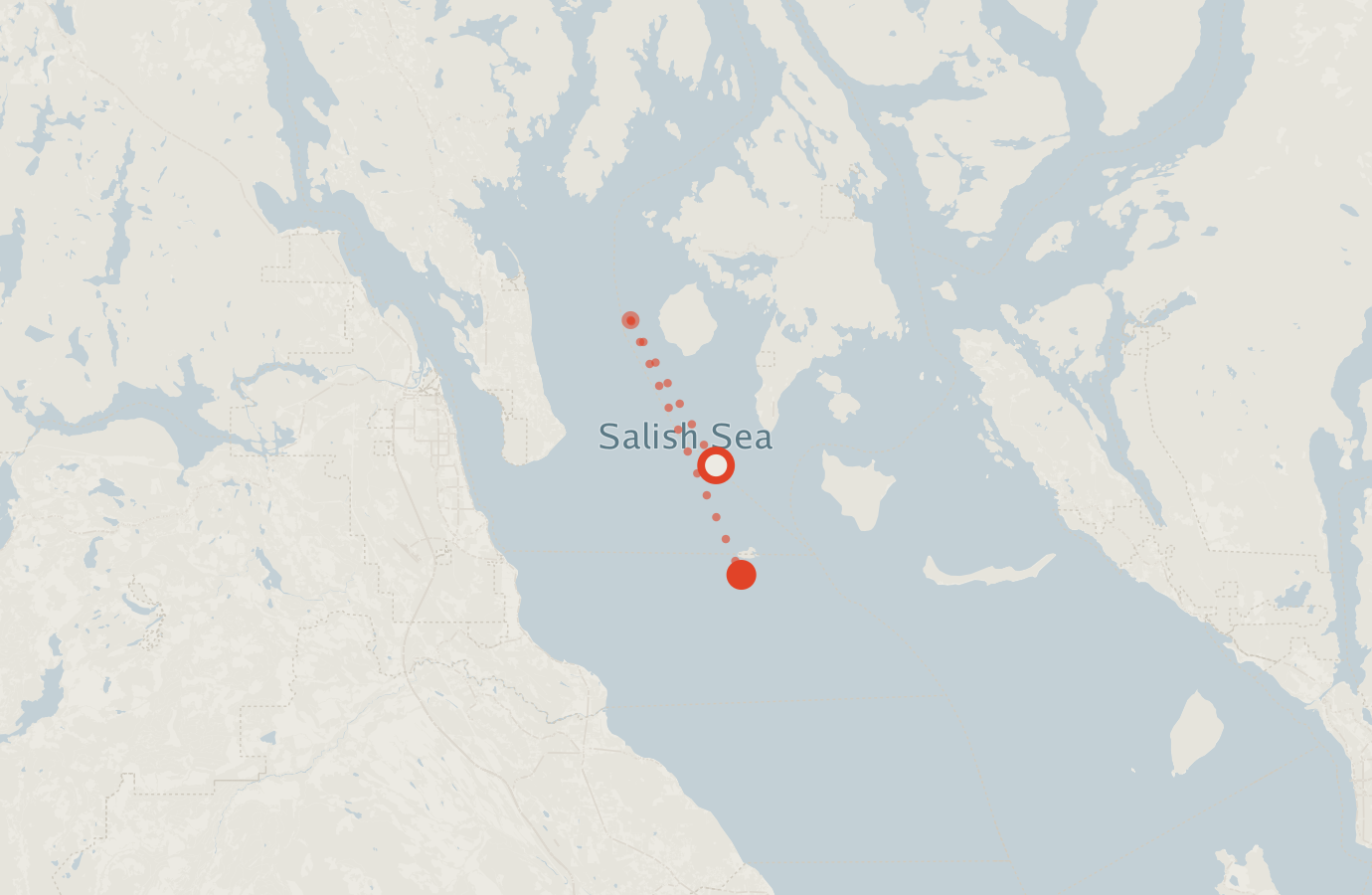 Activity map — real sighting points on an OpenStreetMap basemap