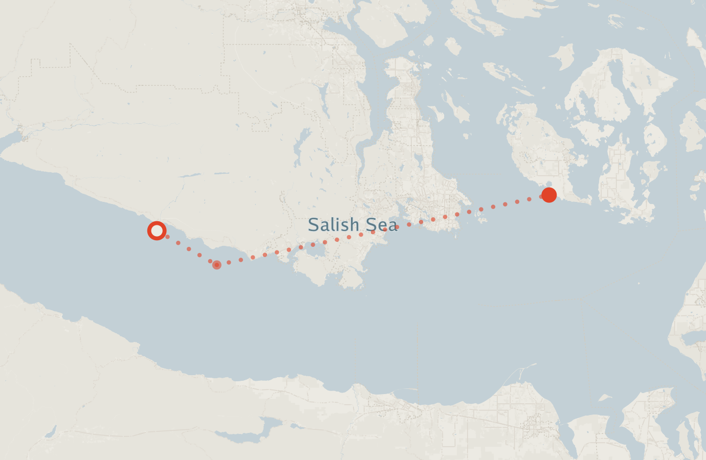 Activity map — real sighting points on an OpenStreetMap basemap