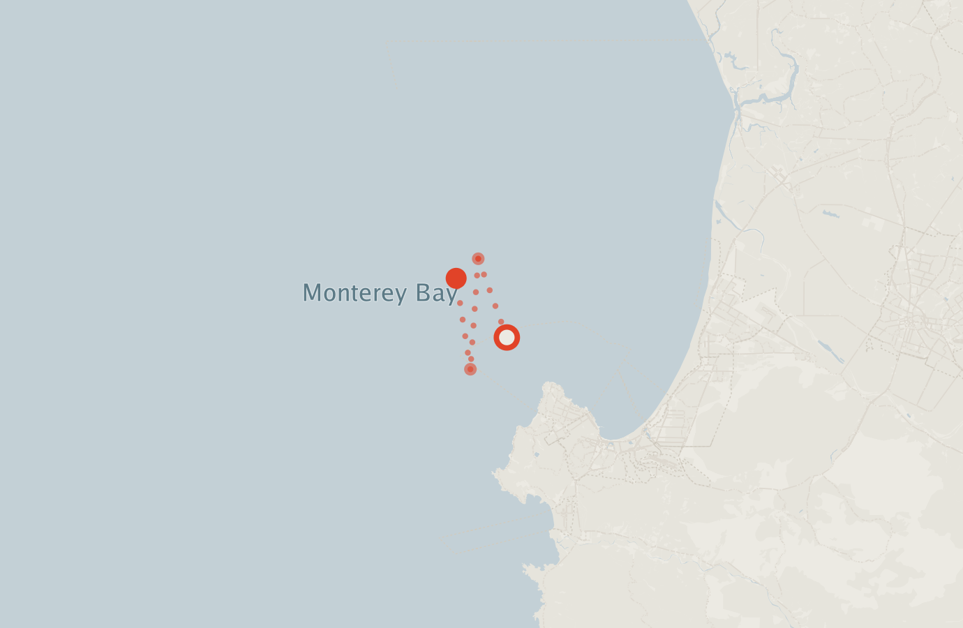 Activity map — real sighting points on an OpenStreetMap basemap