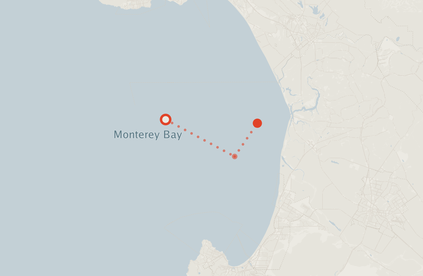 Activity map — real sighting points on an OpenStreetMap basemap