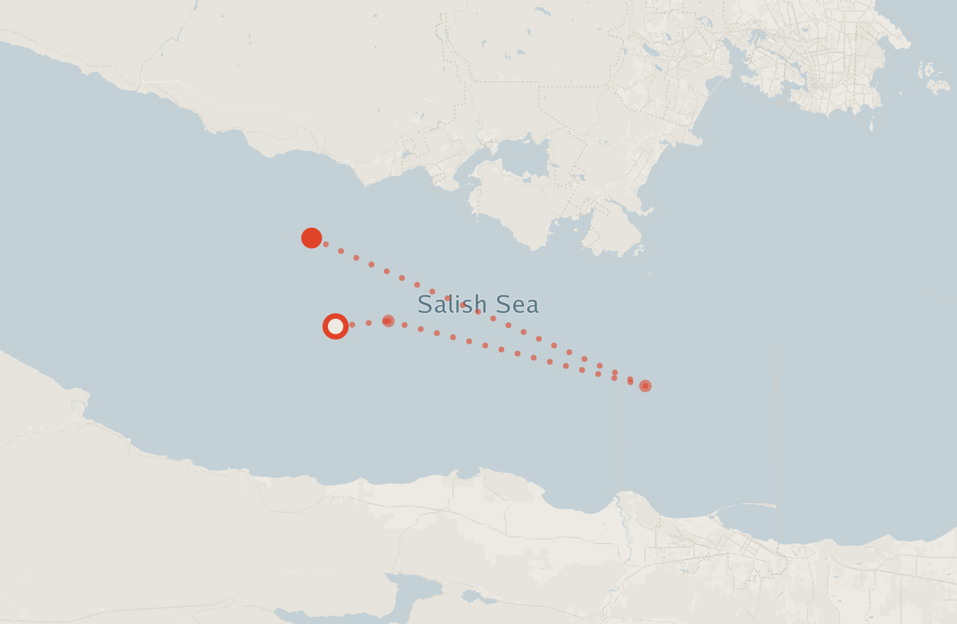 Activity map — real sighting points on an OpenStreetMap basemap