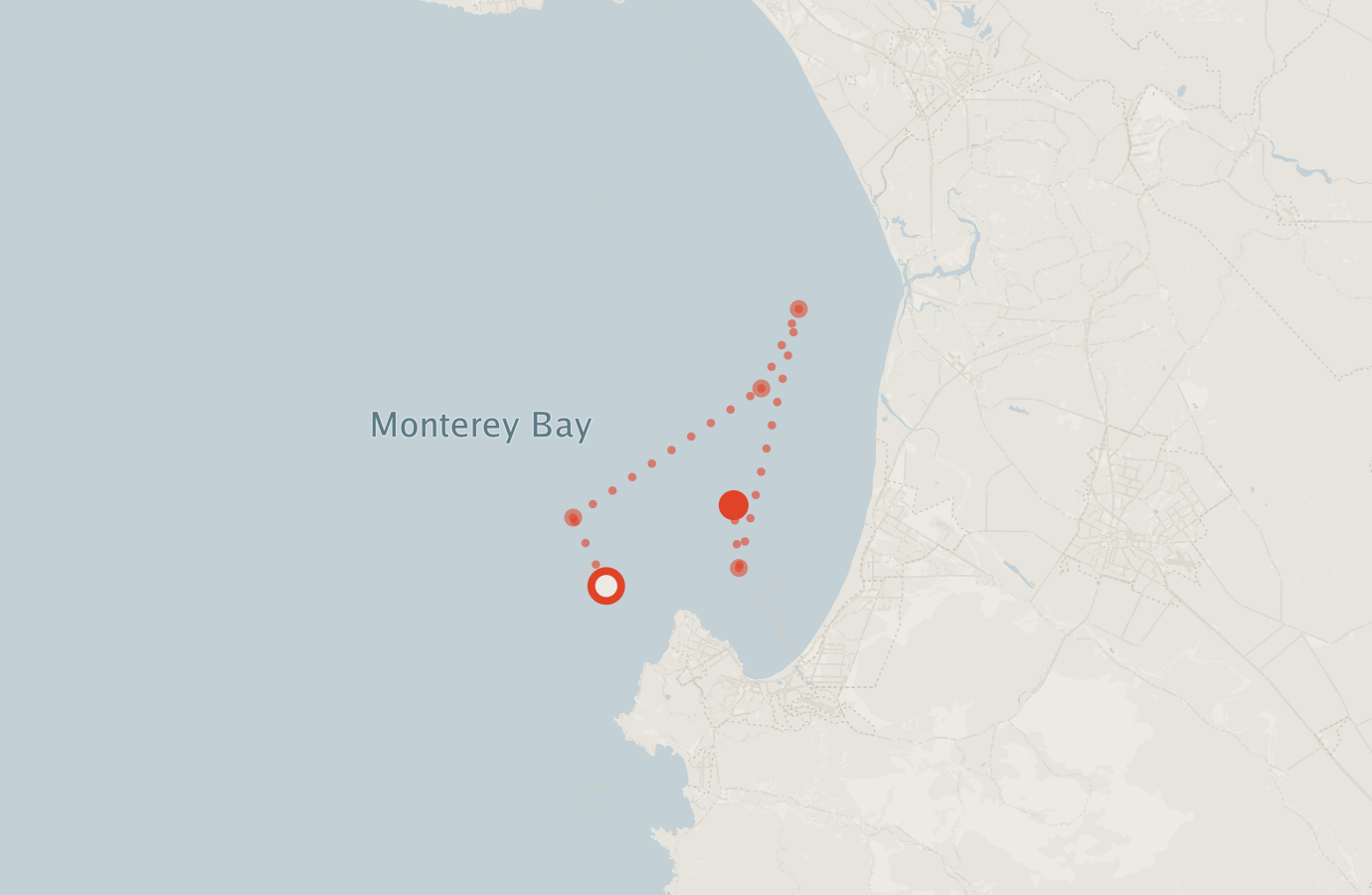 Activity map — real sighting points on an OpenStreetMap basemap