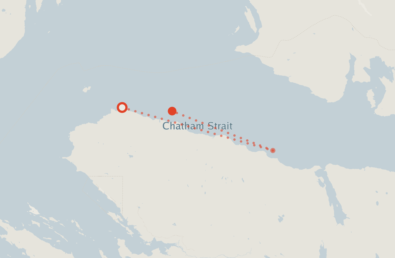 Activity map — real sighting points on an OpenStreetMap basemap