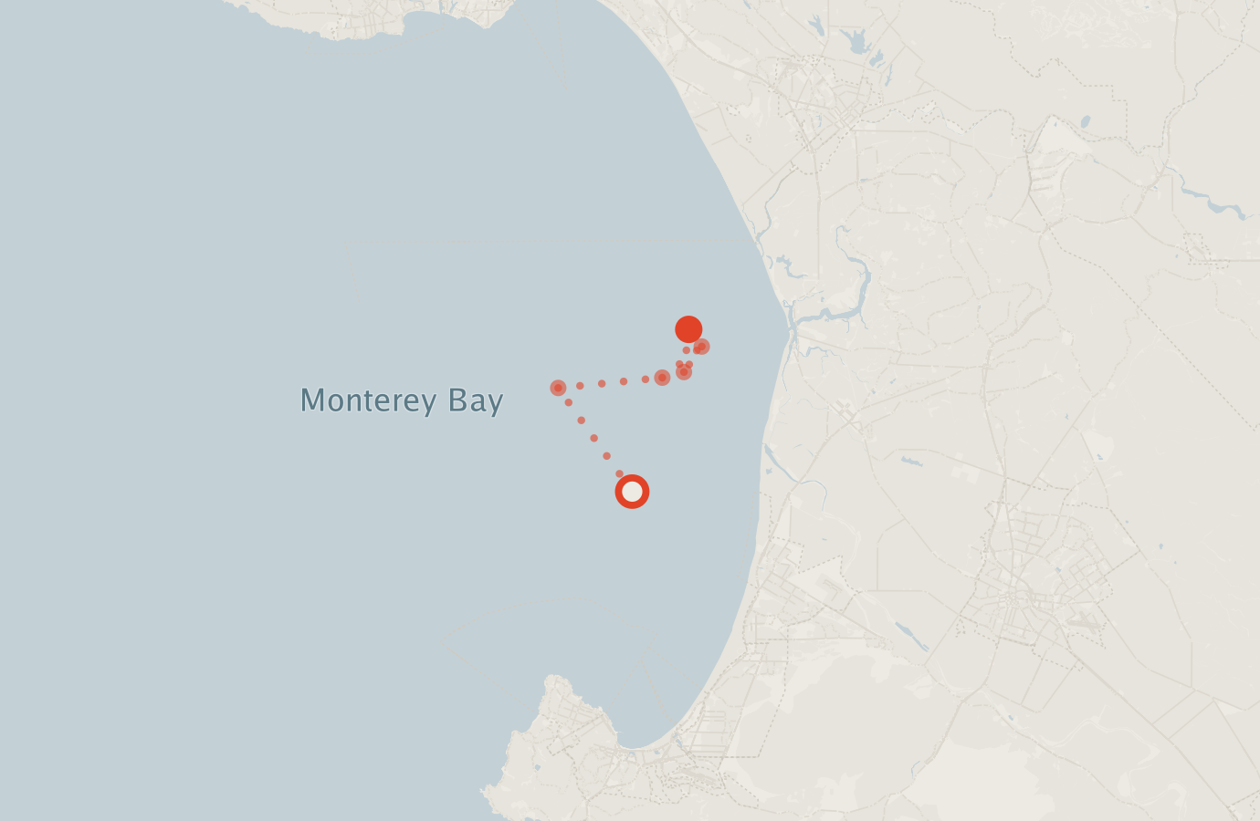Activity map — real sighting points on an OpenStreetMap basemap