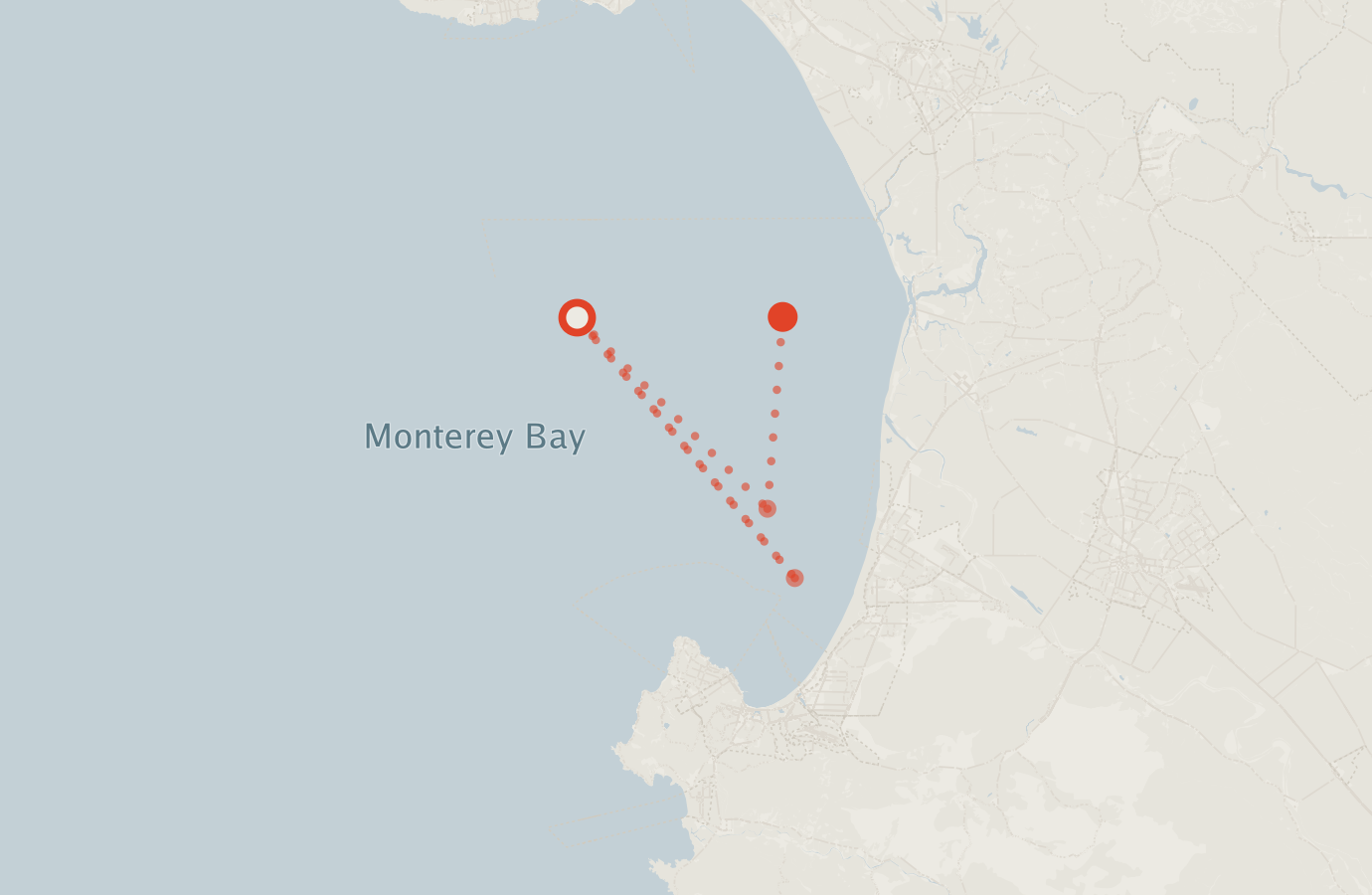 Activity map — real sighting points on an OpenStreetMap basemap