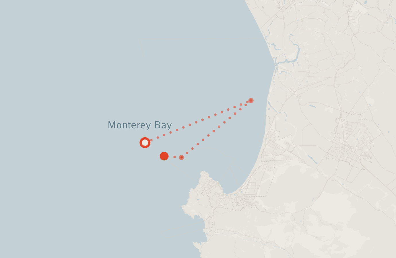 Activity map — real sighting points on an OpenStreetMap basemap
