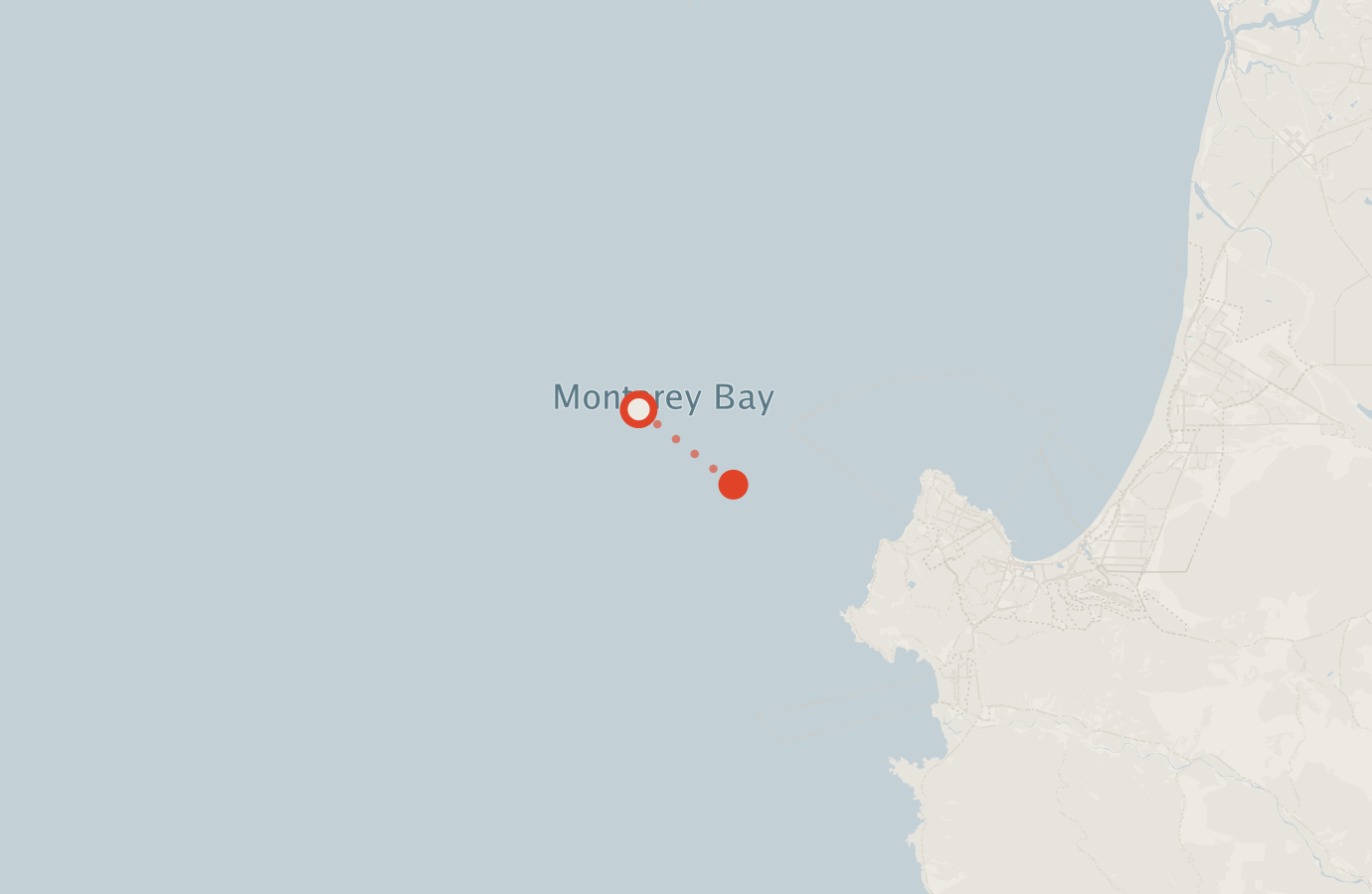 Activity map — real sighting points on an OpenStreetMap basemap