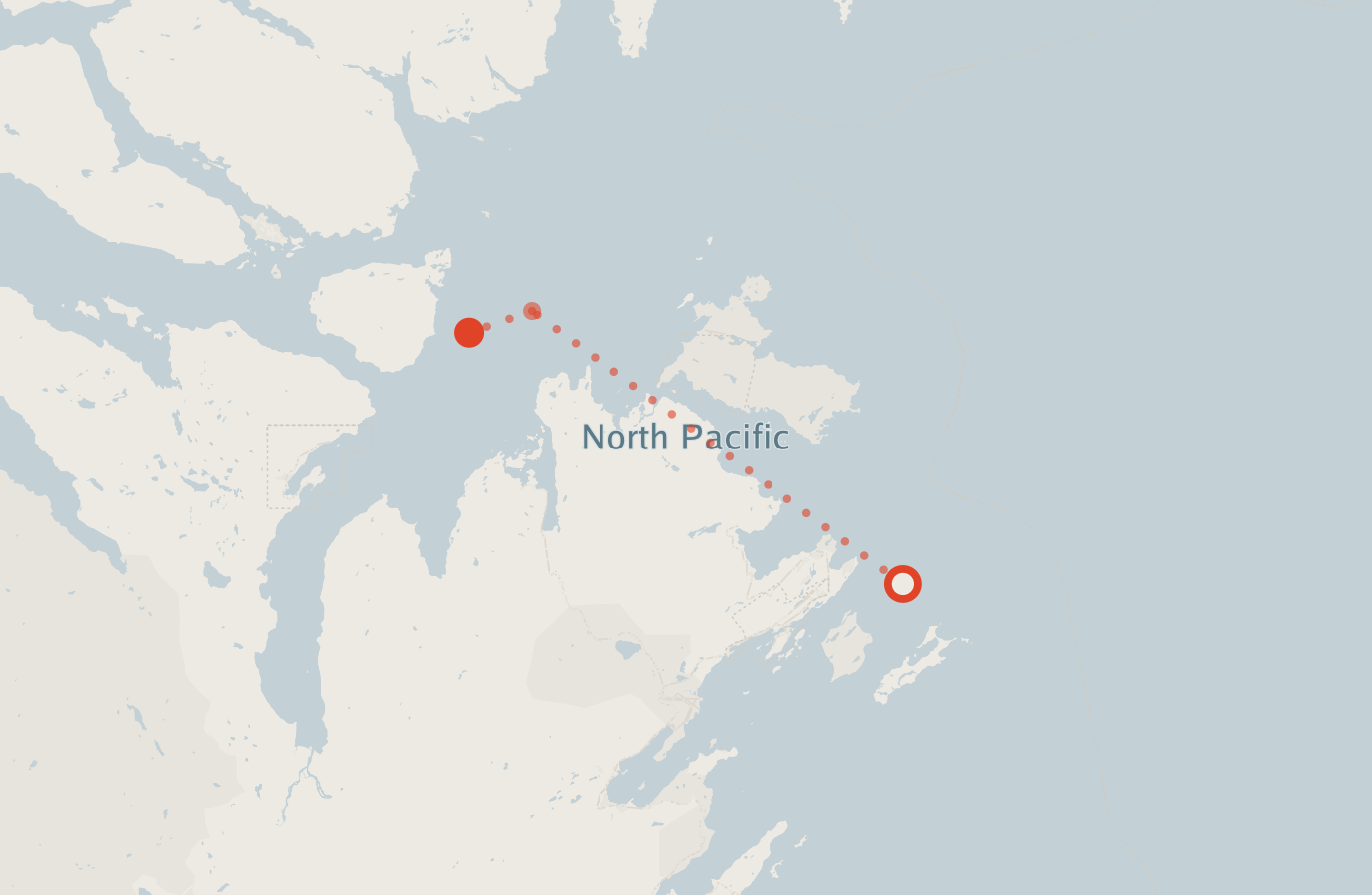 Activity map — real sighting points on an OpenStreetMap basemap