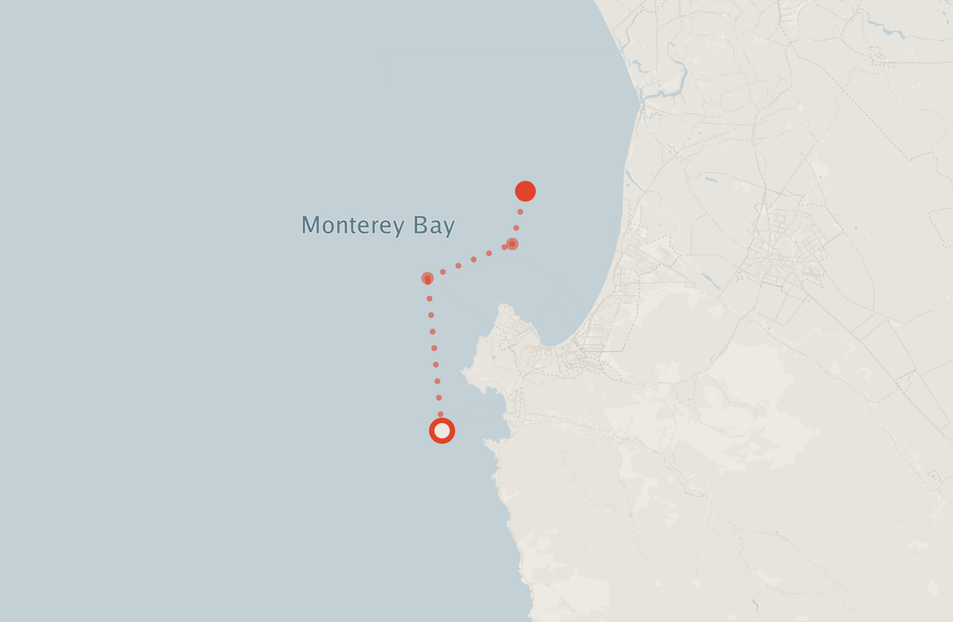 Activity map — real sighting points on an OpenStreetMap basemap