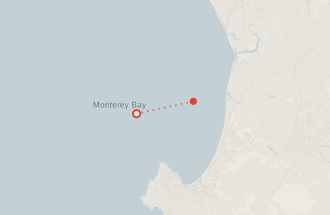 Activity map — real sighting points on an OpenStreetMap basemap