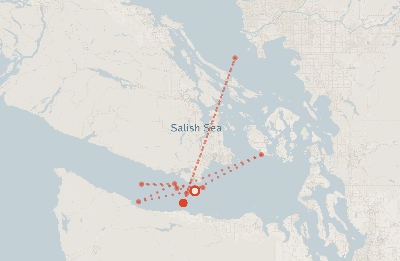 Activity map — real sighting points on an OpenStreetMap basemap