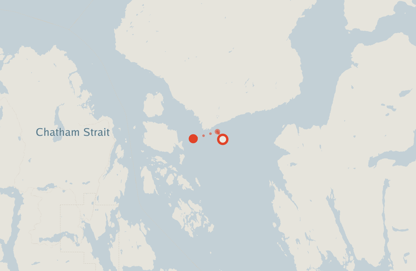 Activity map — real sighting points on an OpenStreetMap basemap