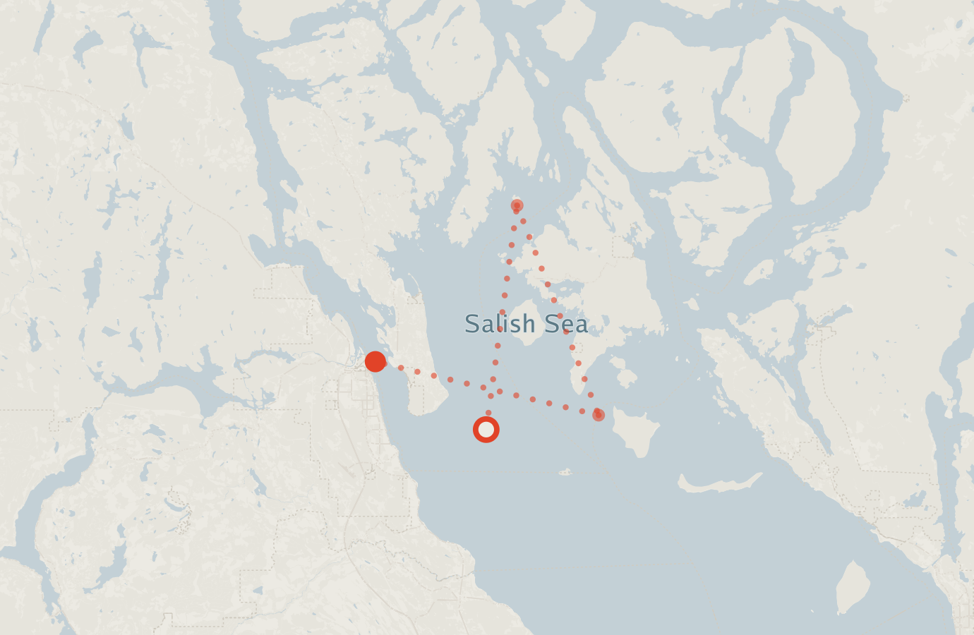 Activity map — real sighting points on an OpenStreetMap basemap
