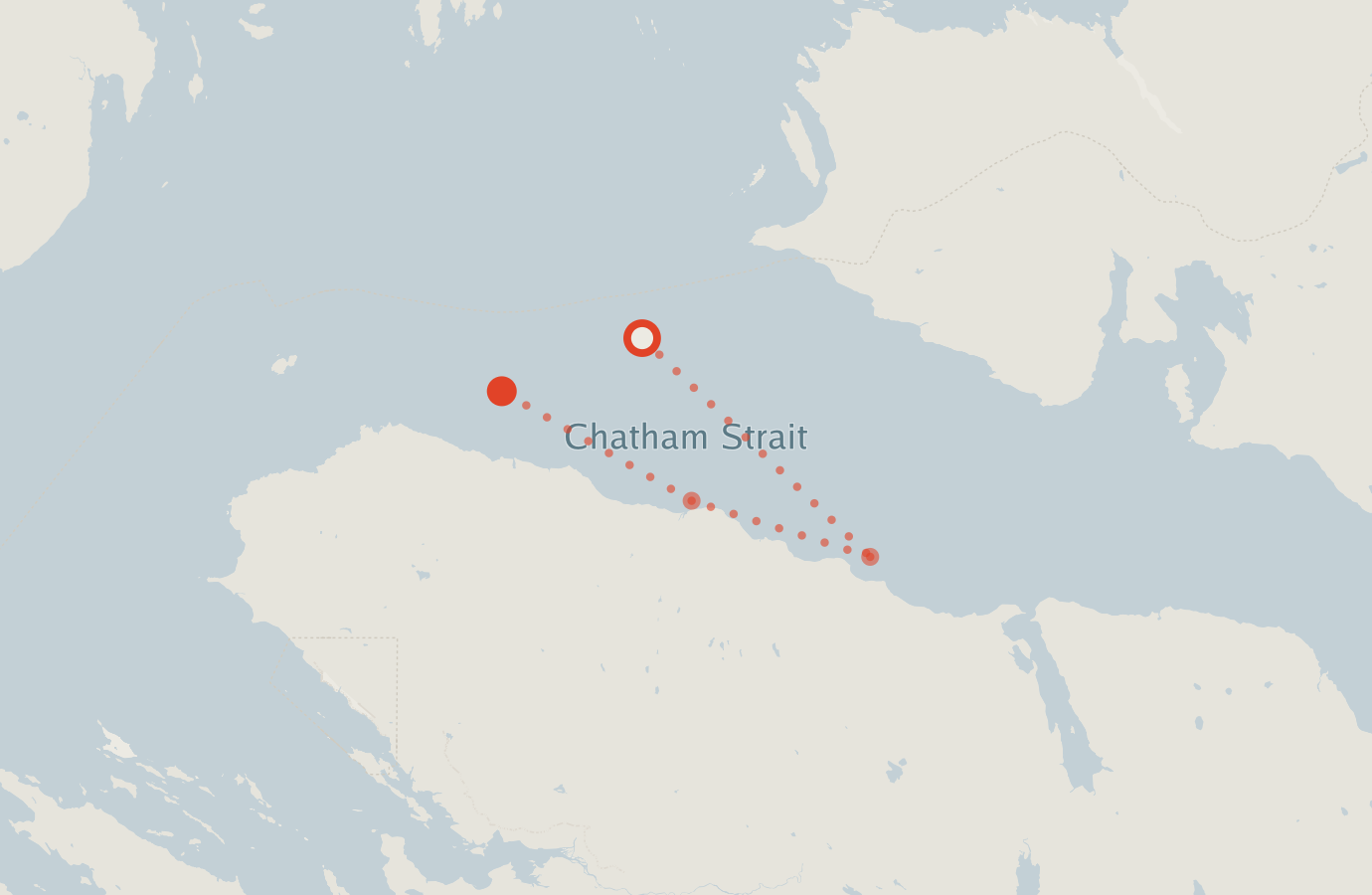 Activity map — real sighting points on an OpenStreetMap basemap