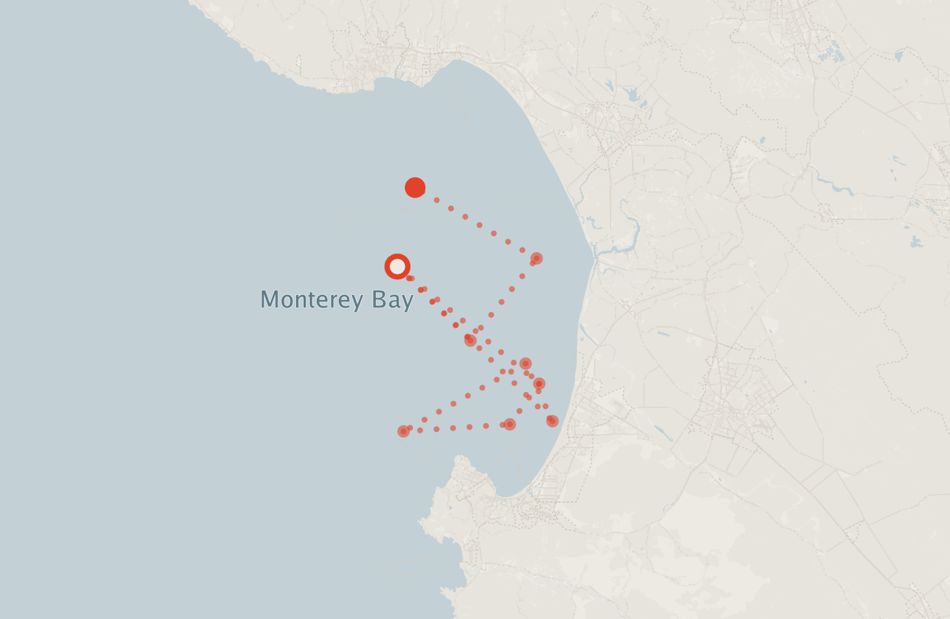 Activity map — real sighting points on an OpenStreetMap basemap