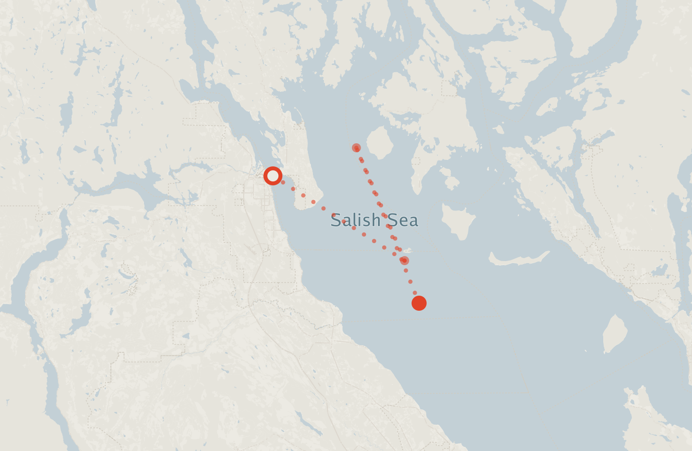Activity map — real sighting points on an OpenStreetMap basemap