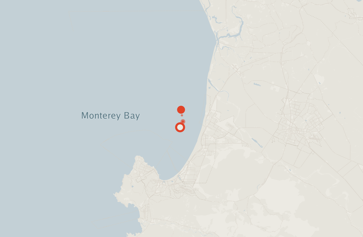 Activity map — real sighting points on an OpenStreetMap basemap