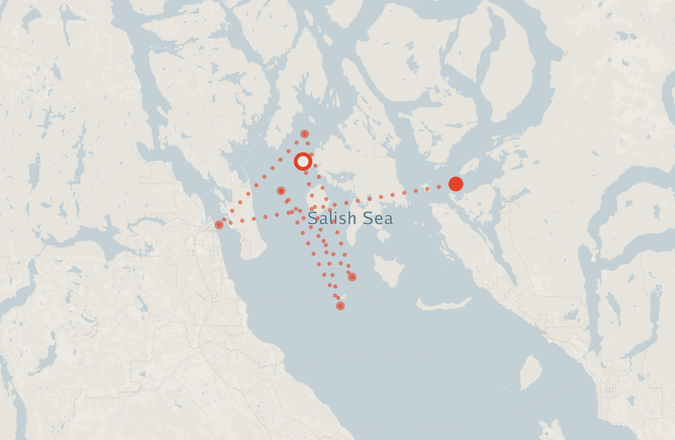 Activity map — real sighting points on an OpenStreetMap basemap