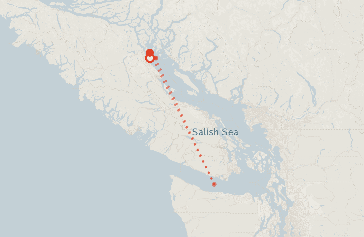 Activity map — real sighting points on an OpenStreetMap basemap