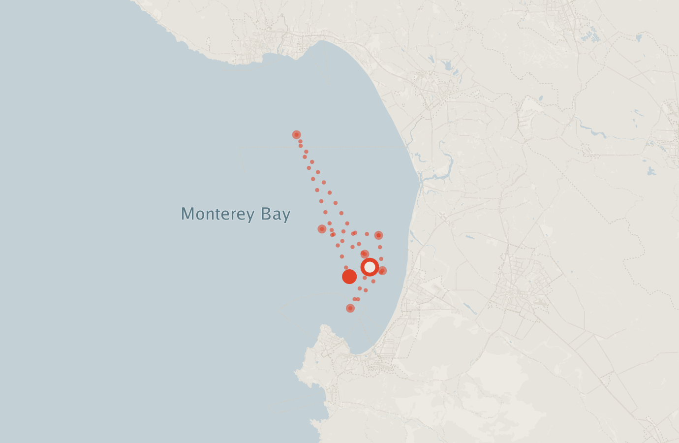 Activity map — real sighting points on an OpenStreetMap basemap