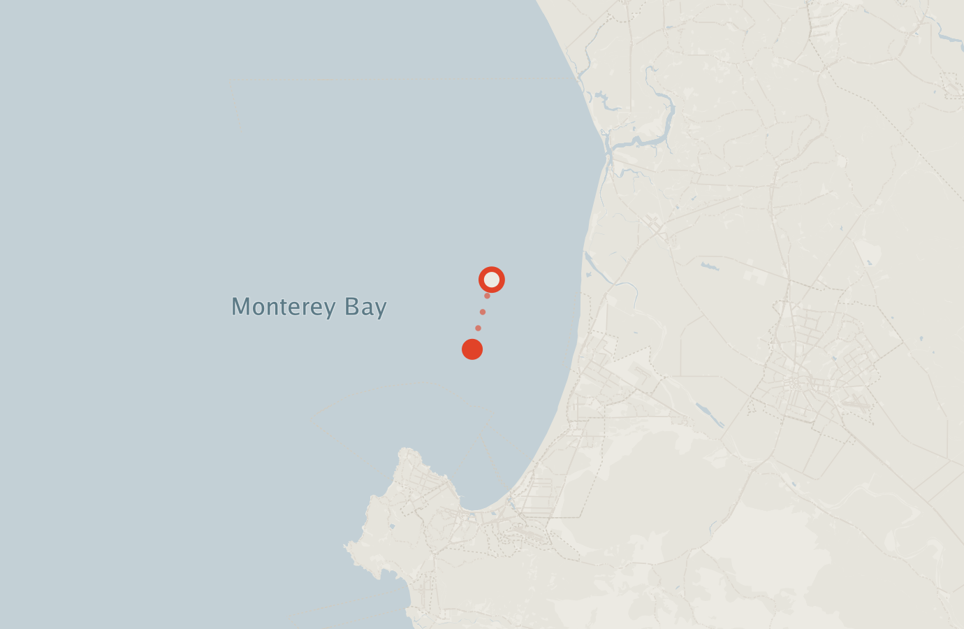 Activity map — real sighting points on an OpenStreetMap basemap