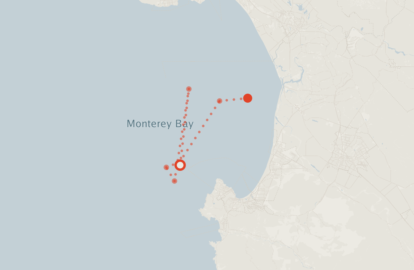 Activity map — real sighting points on an OpenStreetMap basemap