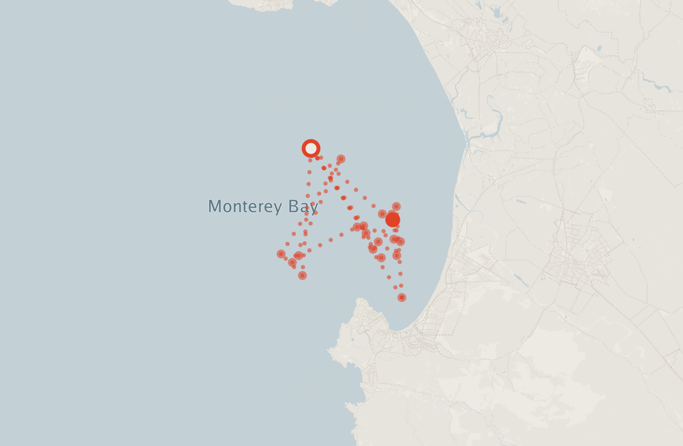Activity map — real sighting points on an OpenStreetMap basemap