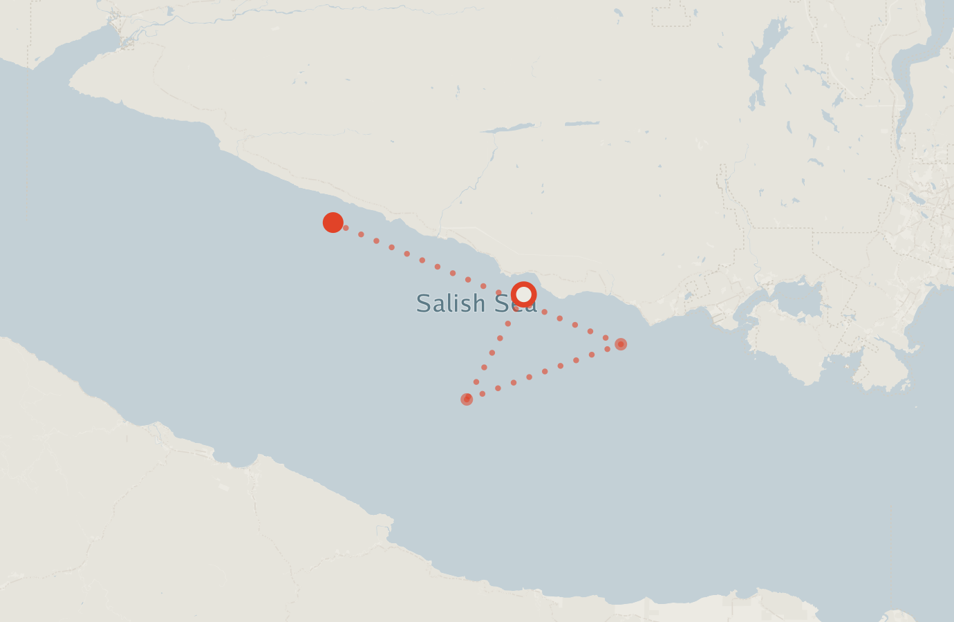 Activity map — real sighting points on an OpenStreetMap basemap