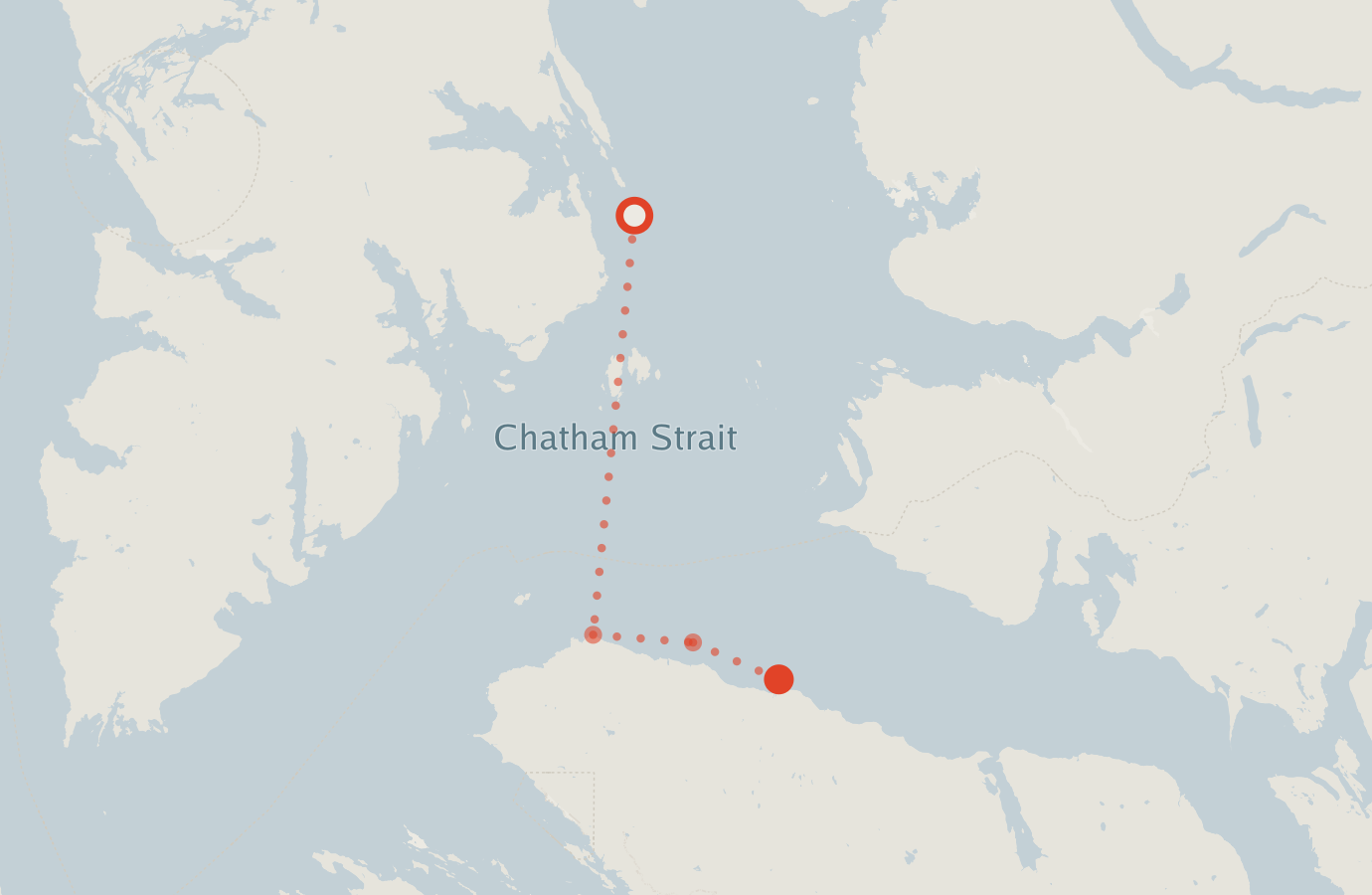 Activity map — real sighting points on an OpenStreetMap basemap