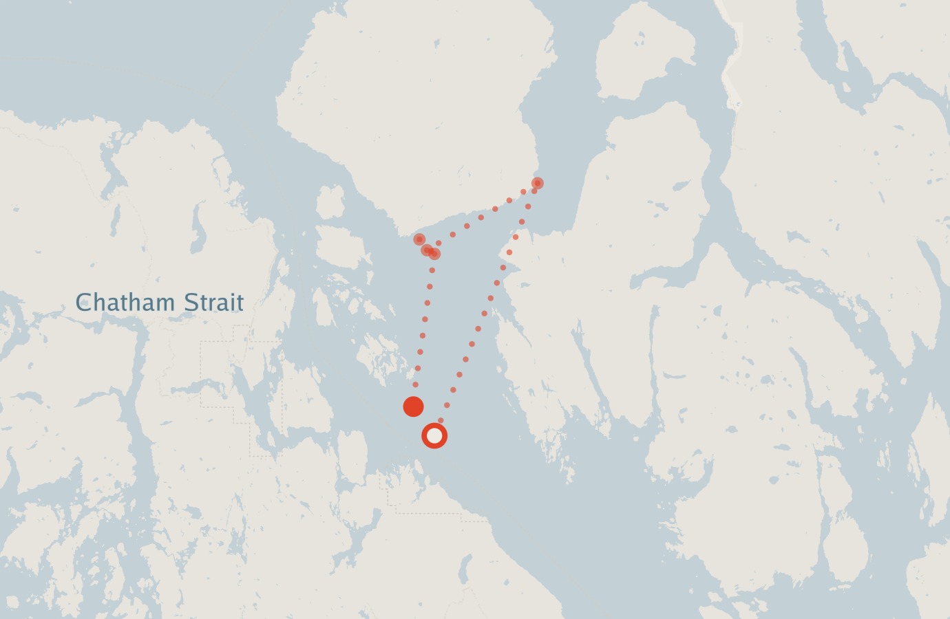 Activity map — real sighting points on an OpenStreetMap basemap